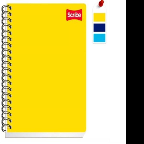 CUADERNO PROF. ESCOLAR SCRIBE 2532 C5 ESP. 200H. C.18